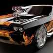 royce.snakes