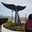 Marti Videla