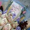 Nur Alfis