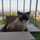 Lluís Catz Lluís Catz
