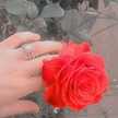 Imane