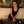Dawn Melesko