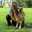 EventingGirl4ever