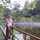 Farhah Mardiana Farhah Mardiana