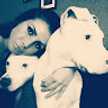 Lea Maric