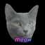 Samantha meow :3