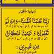Zia Hamid