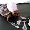 pretendchef