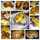 MrCookUp