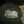 dylypoo261