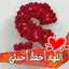 أم امين محمود