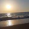 زهرة النرجس