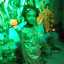 দেবষ্মী প্রামানিক