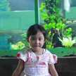 Sity Rovy