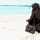 Nurrul Aaini