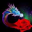 sharky085