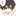 Yoru Yoru