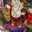 Trupti Sheth