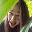 Sherry Wang