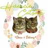 Haencie Catshop