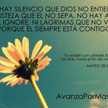Dominique Cocina♥