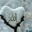 shahid munir