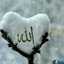 shahid munir