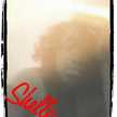 shellylowery29