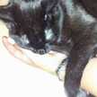 Martita