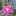 Roshni Mistry Roshni Mistry