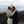 Noor Bitar