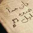 fatima 