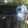 Cesar Heredia Cesar Heredia