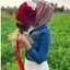 arej shaddad
