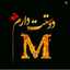 Setayesh