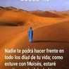 Abii Martin