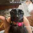 Momito