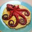 sarachefperpassione