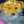 mary.lawson.984