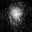 zaen015