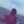 Rahaf
