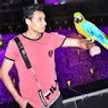 amir. yunan