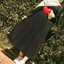 Imane al 
