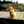 evanax76 evanax76
