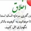 کامیار نارویی