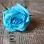 fatima_nasser