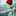 maryam_shams_ashtiyani maryam_shams_ashtiyani