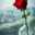 maryam_shams_ashtiyani 