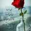 maryam_shams_ashtiyani 