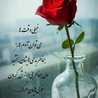maryam_shams_ashtiyani 